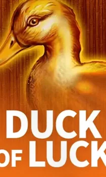 Duck Of Luck Ct